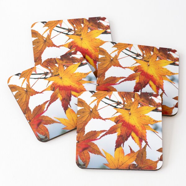 Item preview, Photography - All these tints of orange  designed and sold by Karolien Kenis.