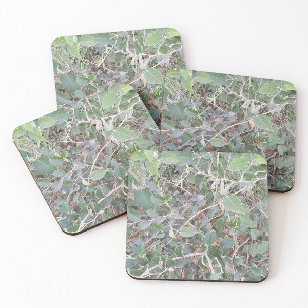 Item preview, LA SAVANE COLLECTION designed and sold by diawarma.