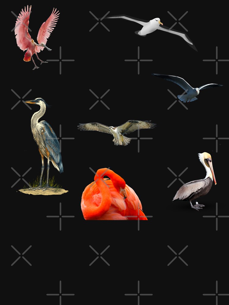 Thumbnail 4 of 4, Premium T-Shirt, Florida Keys Birds designed and sold by KeysTreasures.