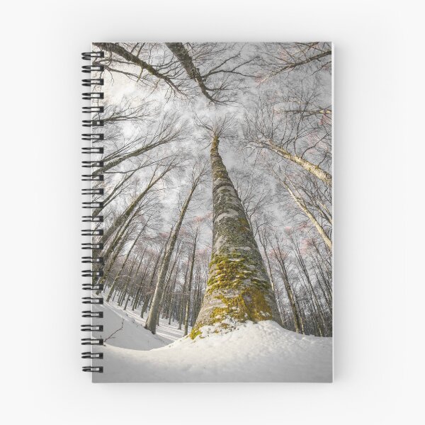 Item preview, Magical winter designed and sold by valeriano84.
