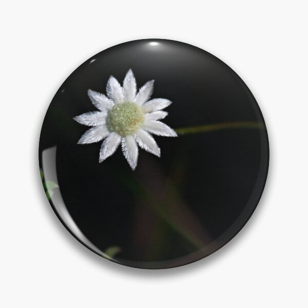 Item preview, Actinotus minor (flor de franela menor) designed and sold by Robert Elliott.