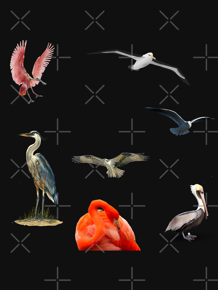 Thumbnail 7 of 7, Active T-Shirt, Florida Keys Birds designed and sold by KeysTreasures.