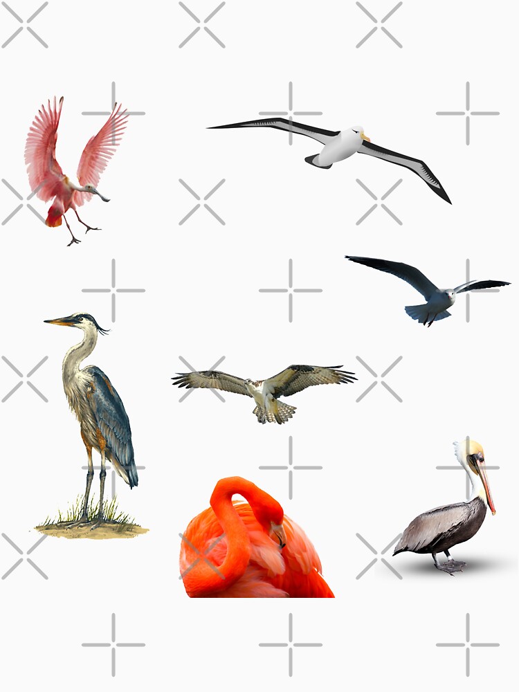 Thumbnail 7 of 7, Classic T-Shirt, Florida Keys Birds designed and sold by KeysTreasures.