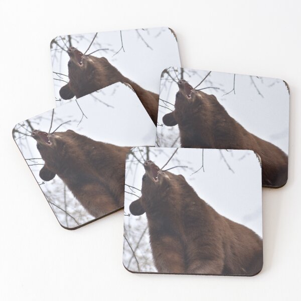 Item preview, Chomp Chomp designed and sold by NottingHill.