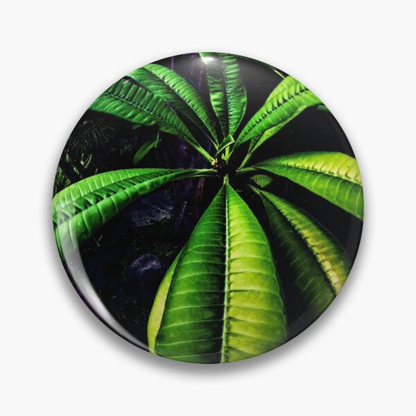 Item preview, Nightshade designed and sold by Steve Walser.