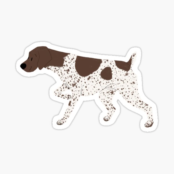 “Liver Ticked GSP” Sticker by k-sea | Redbubble