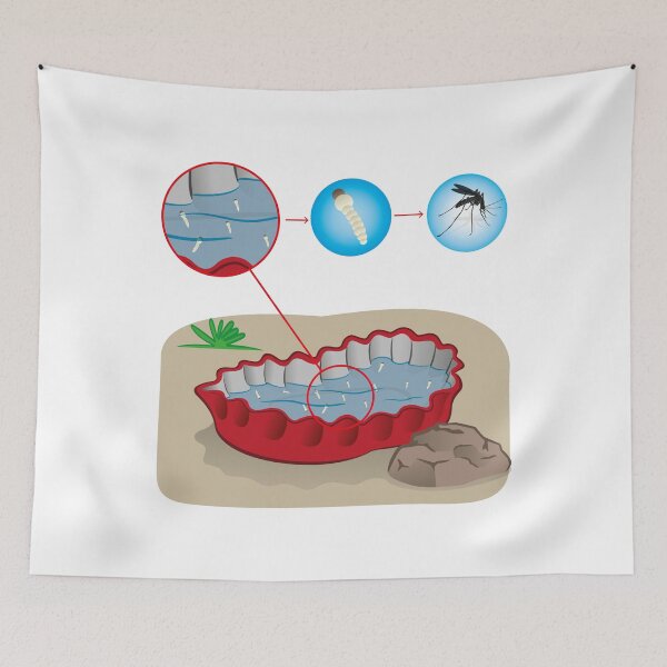 Item preview, Nature, bottle cap with stagnant water with focus mosquito mosquito. Ideal for informational and institutional related sanitation and care designed and sold by LucianoCosmo.