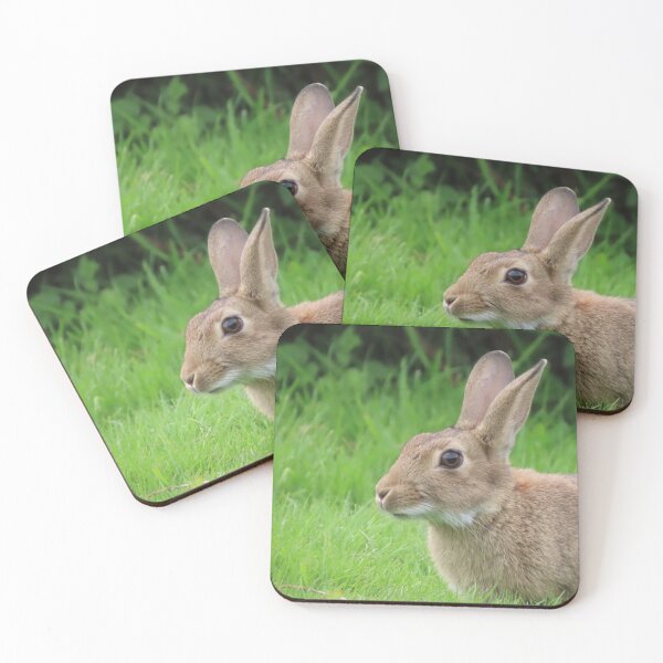 Item preview, Bunny Love - a gorgeous fluffy wild bunny.  designed and sold by shelleytudor.