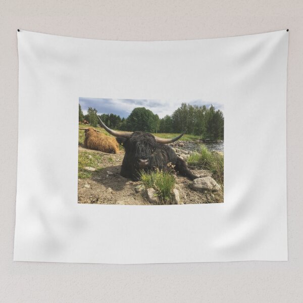 Item preview, Scottish Highland Cattle Bull 2036 designed and sold by SaarelaHighland.