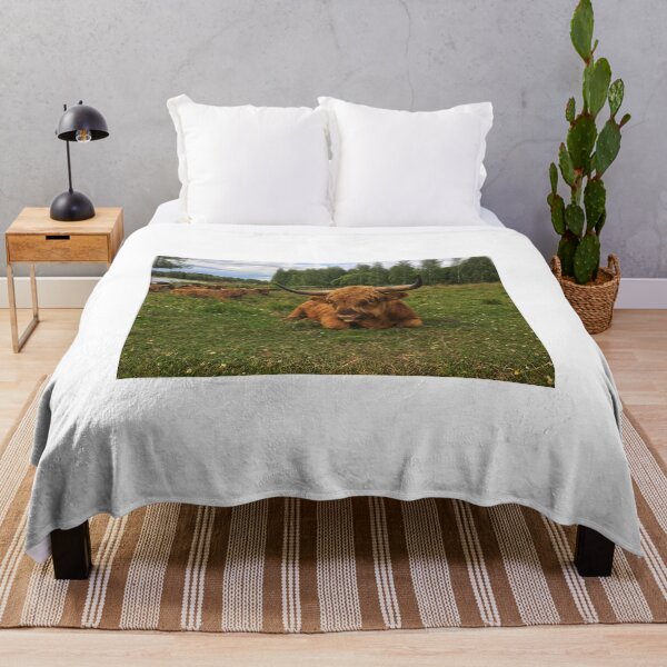 Item preview, Scottish Highland Cattle Bulls 2037 designed and sold by SaarelaHighland.