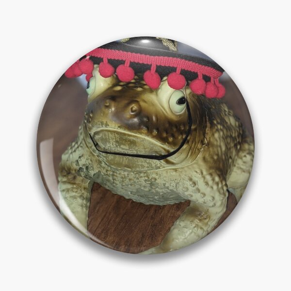 Item preview, Reginald The Sombrero Wearing Frog designed and sold by Pct4.