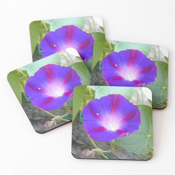 Artikelvorschau, Dark Blue Morning Glory entworfen und verkauft von OrangeEden.