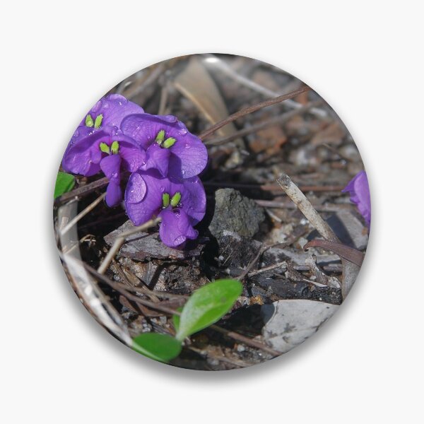 Item preview, Tiny petals ~ Hardenbergia violacea (False sarsaparilla) designed and sold by Robert Elliott.