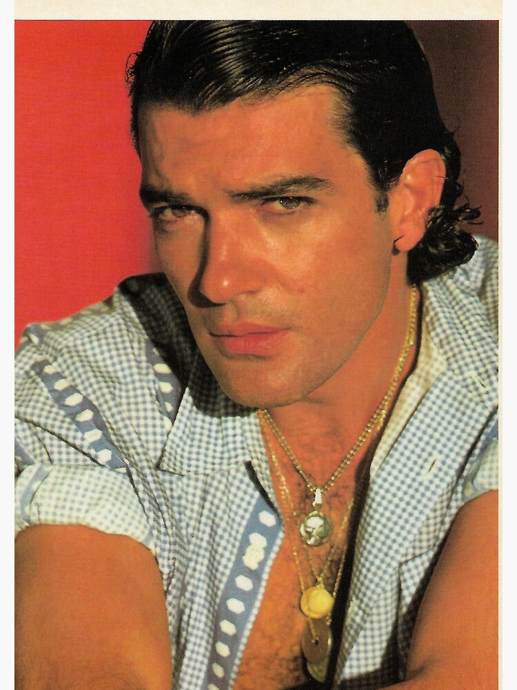 Antonio Banderas cheveux Zorro