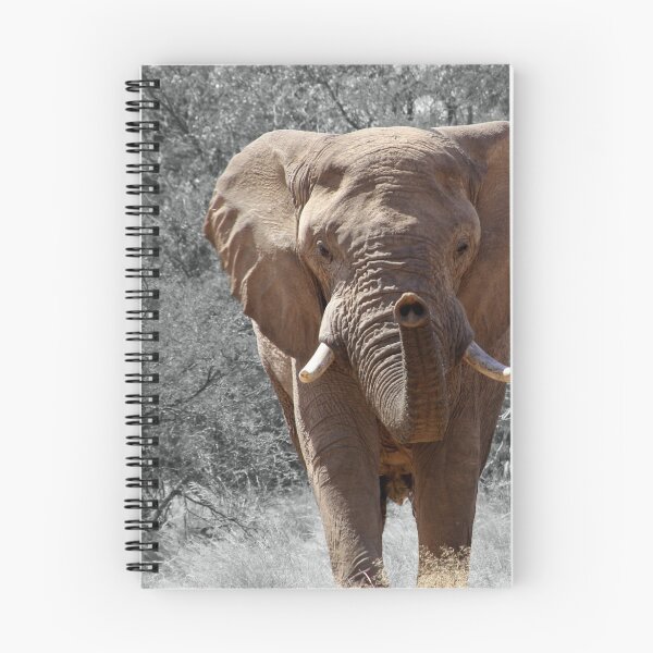 Item preview, Elephant designed and sold by Sven19864.