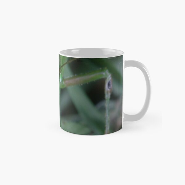 Fork-tailed Bush Katydid (Scudderia furcata) Classic Mug