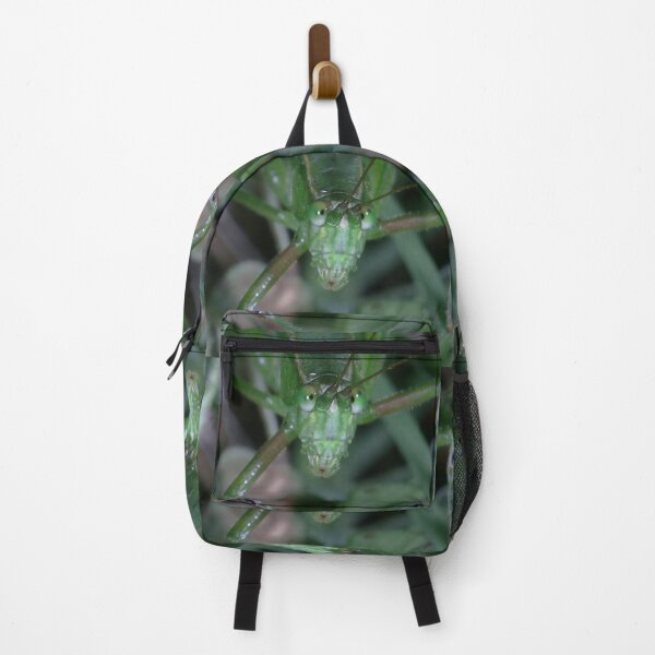 Item preview, Fork-tailed Bush Katydid (Scudderia furcata) designed and sold by mark-bugs-org.