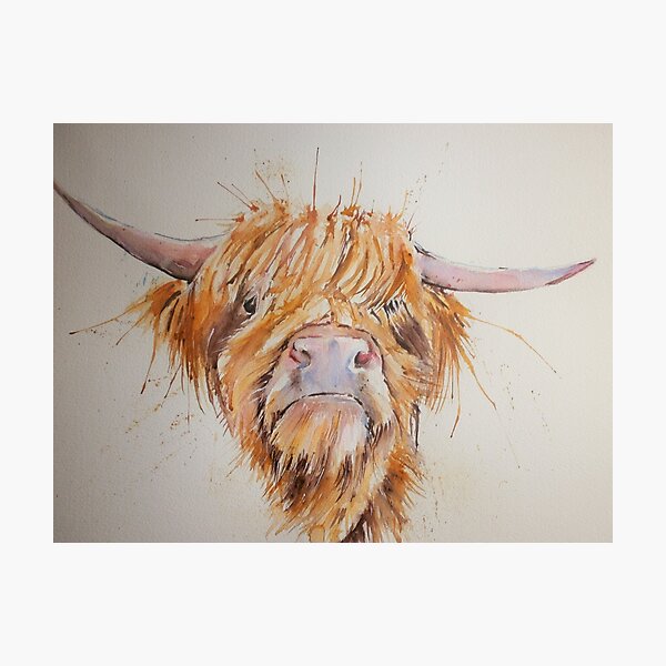 Vista previa del artículo con la obra «Cheeky Highlander!», diseñado y vendido por Sue Green.