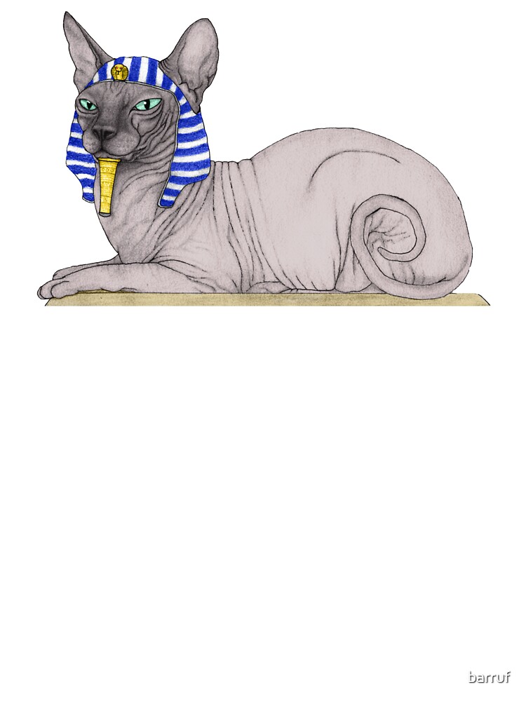 Denim Louis Vuitton T-shirt for Sphynx Cat