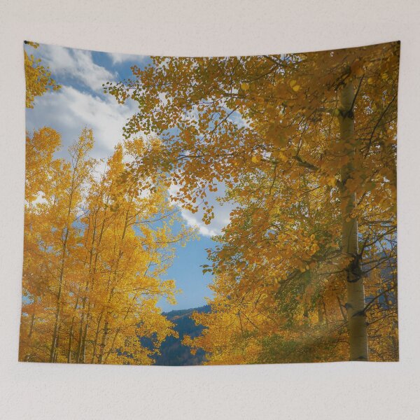 Item preview, Colorado, Aspen  designed and sold by beachfanatic.