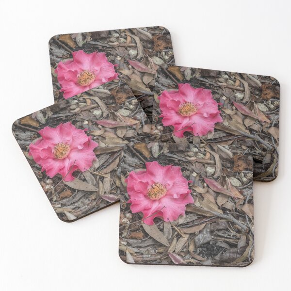 Item preview, Soft Landing  designed and sold by MarkFoleyPhoto.