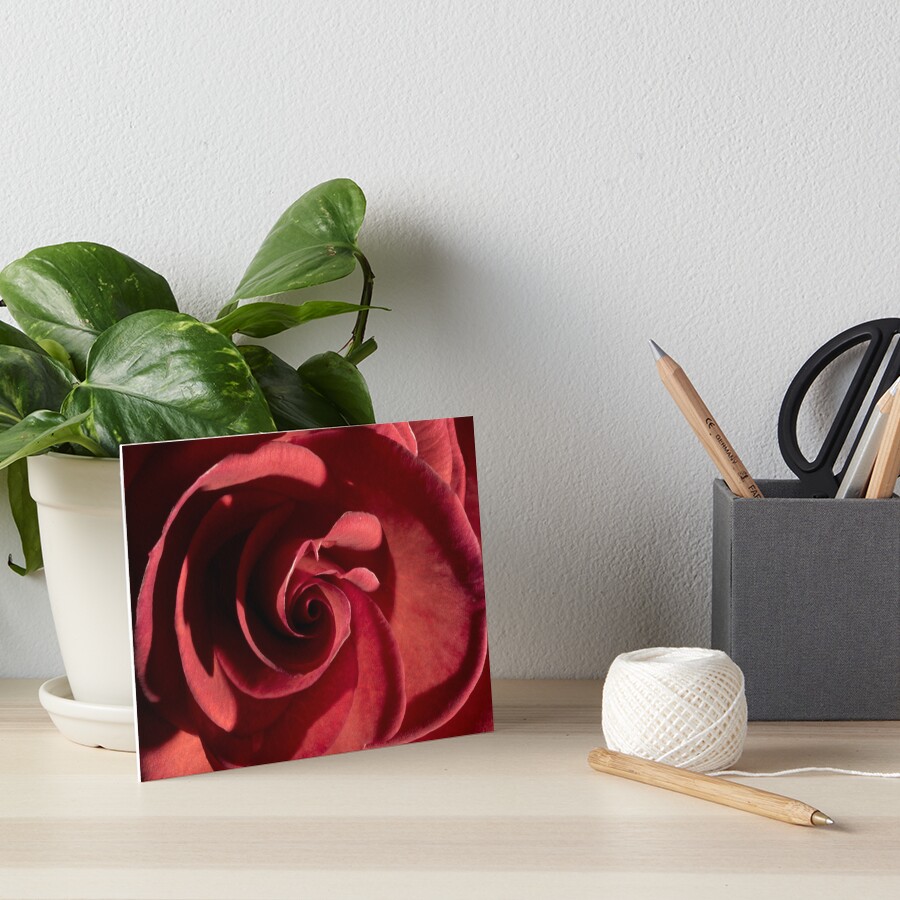 Item preview, Art Board Print designed and sold by MarkFoleyPhoto.