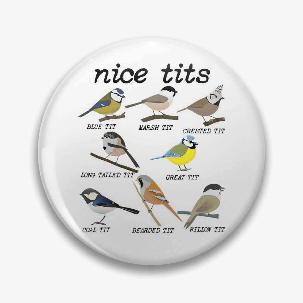 Nice Tits Funny Bird Watching, Funny Tit Birds Birdwatcher | Pin