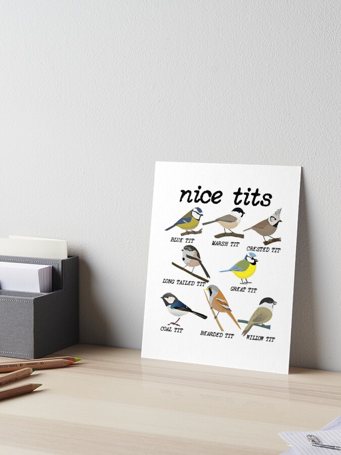 Nice Tits Funny Bird Watching Funny Tit Birds Birdwatcher Gifts For Bird  Lovers Funny Gifts Mens Back Print T-shirt