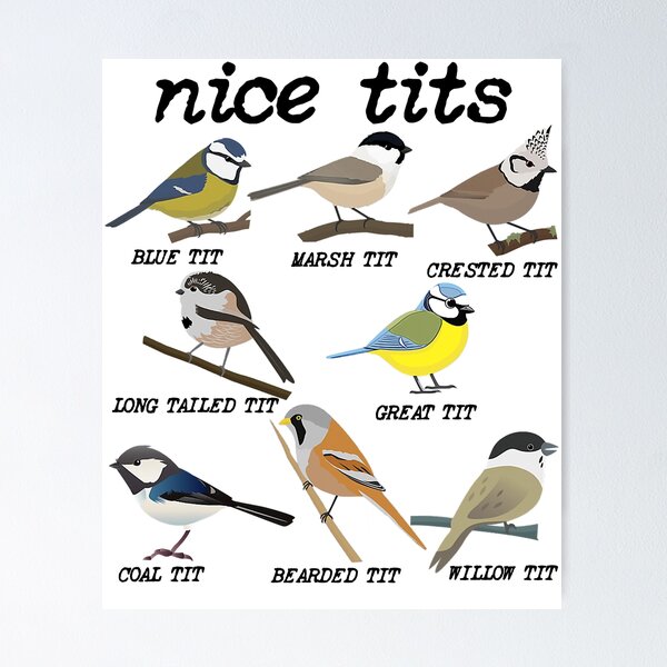 Nice Tits Bird Birds Watching Tit Nature #2 Round Beach Towel by Mooon Tees  - Pixels