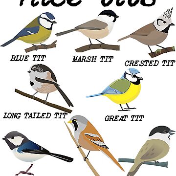 A Couple of Tits Hanging Out Blue Tit Funny Greeting Card Funny