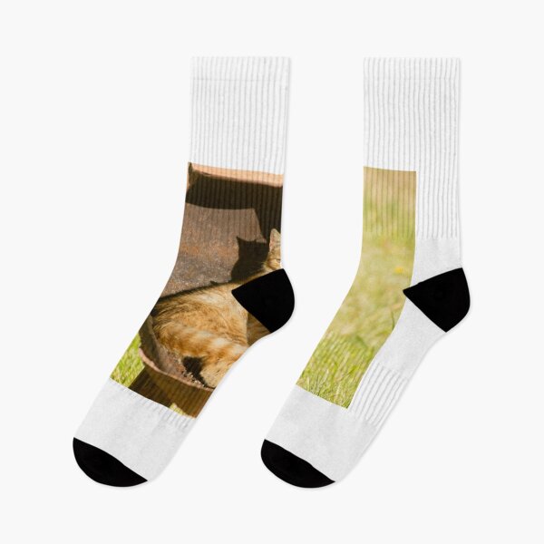 Item preview, gli kitty to go designed and sold by pcfyi.
