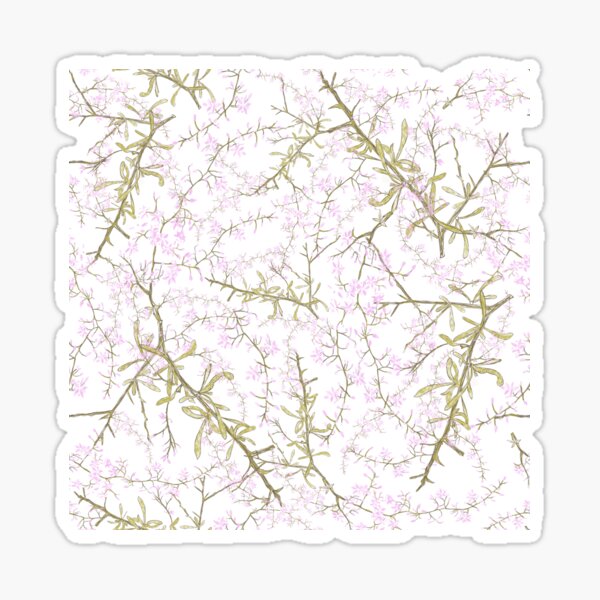Native blackthorn Sticker