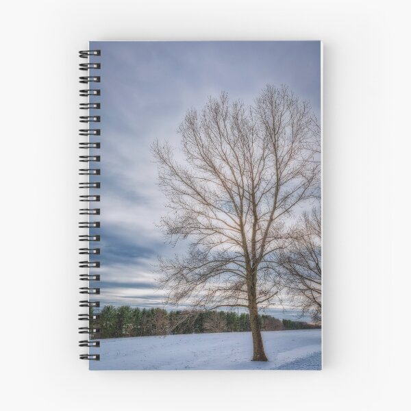 Item preview, Valley Forge 12.17.20c designed and sold by HowardRoberts.