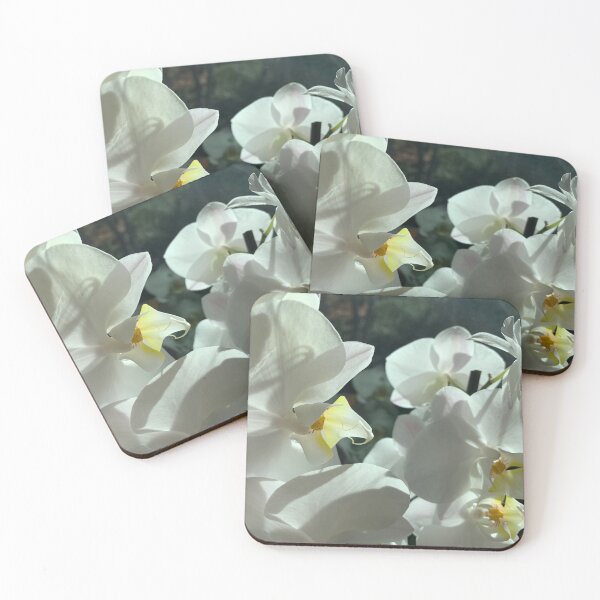 Item preview, White Orchid designed and sold by agnessa38.