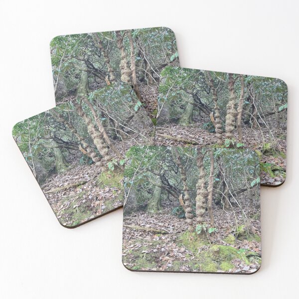 Item preview, Cool tree on hiking trail  designed and sold by Taleta Hollis.