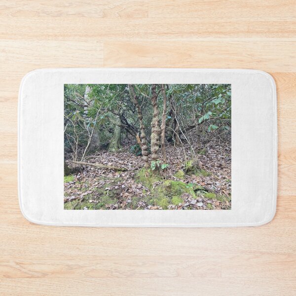 Item preview, Cool tree on hiking trail  designed and sold by Taleta Hollis.