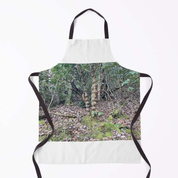 Item preview, Cool tree on hiking trail  designed and sold by Taleta Hollis.