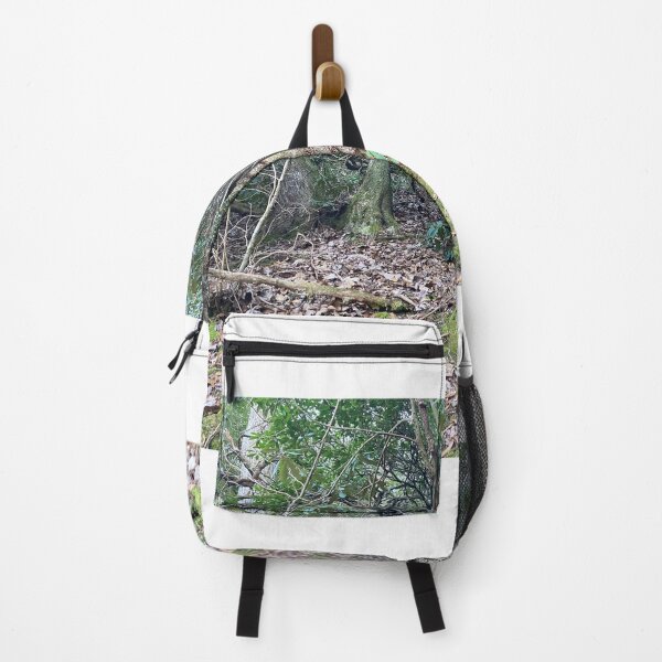 Item preview, Cool tree on hiking trail designed and sold by Taleta Hollis.