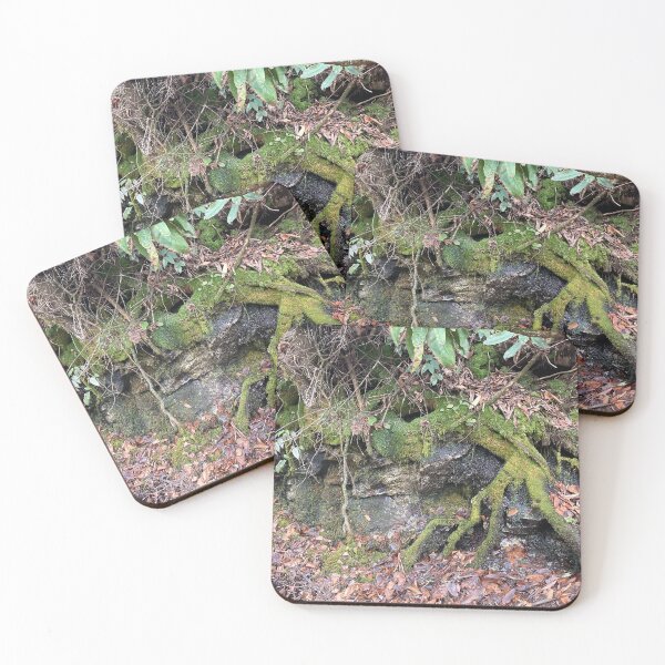 Item preview, Roots covered in rocks designed and sold by Taleta Hollis.