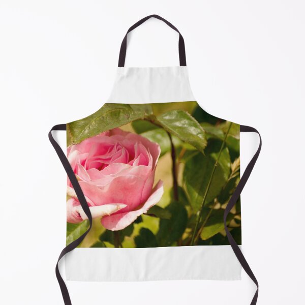Item preview, gli long stem rose designed and sold by pcfyi.