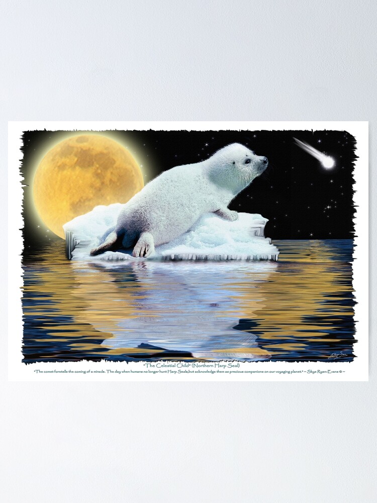 ""The Celestial Child" (Harp Seal)" Poster for Sale by RavenPrints