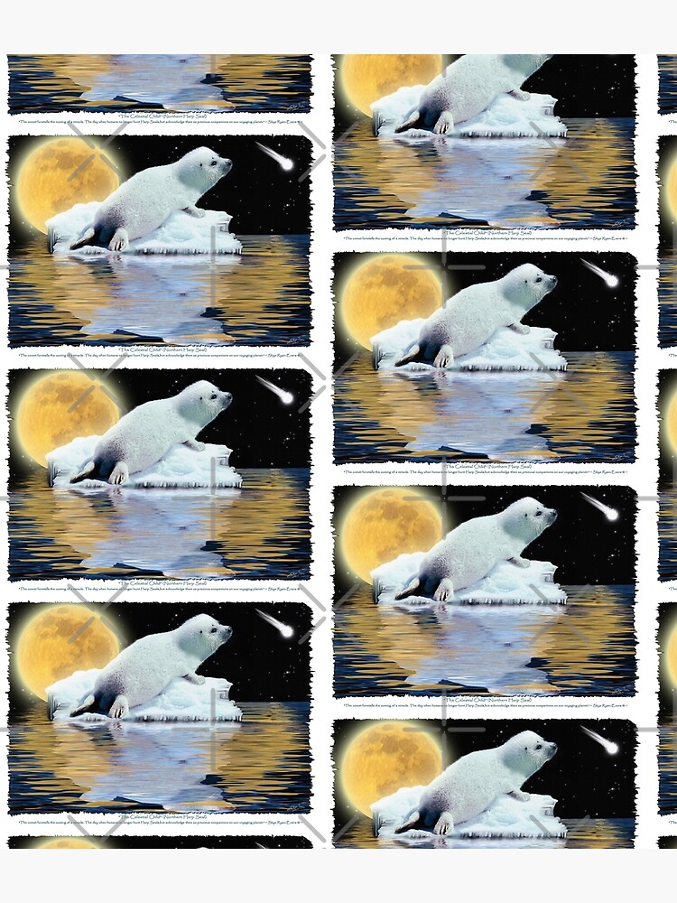 "The Celestial Child" (Harp Seal) by RavenPrints