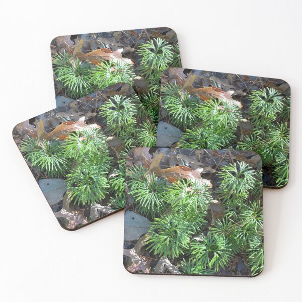 Item preview, Nature foliage through the leaves designed and sold by Taleta Hollis.
