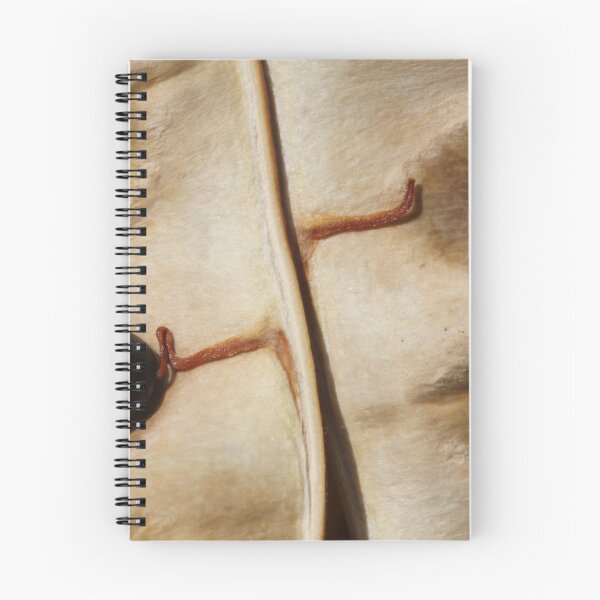 Item preview, natural selection designed and sold by yvesrossetti.