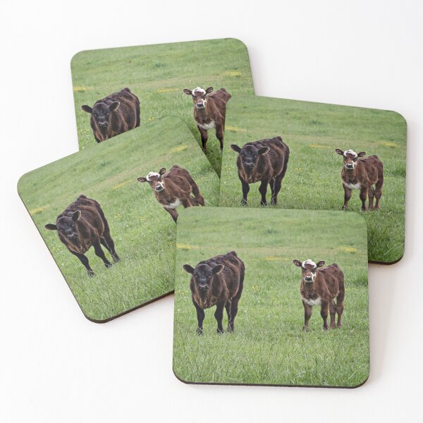 Item preview, Cows in field designed and sold by bwatkinsphoto.
