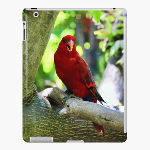 Small Red Parrot iPad Snap Case