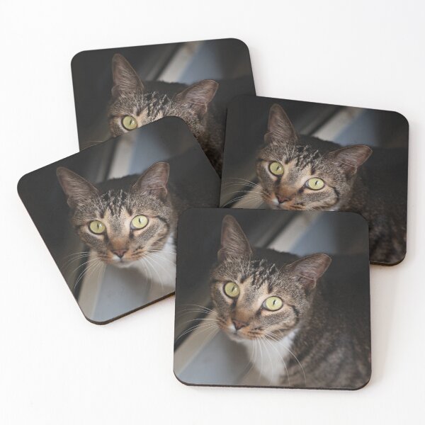 Item preview, Cute cat look designed and sold by flamendes.