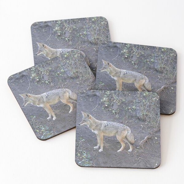 Item preview, Coyote designed and sold by Backyardtrail.