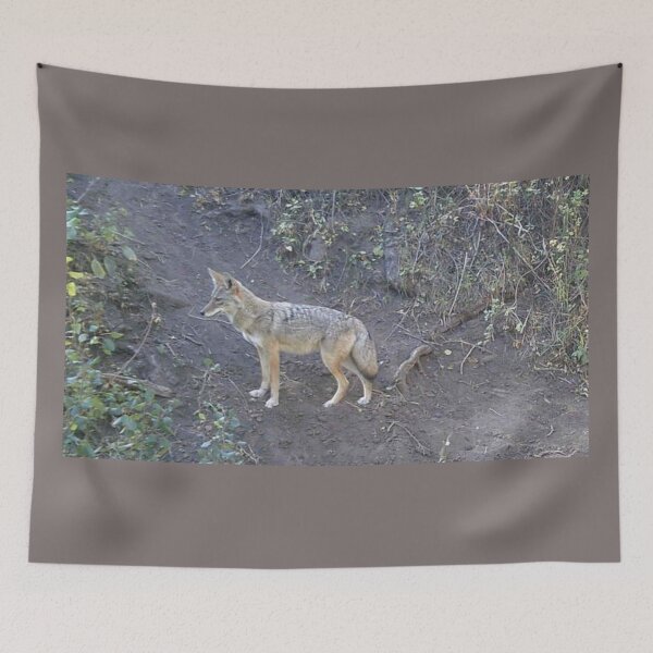 Item preview, Coyote designed and sold by Backyardtrail.