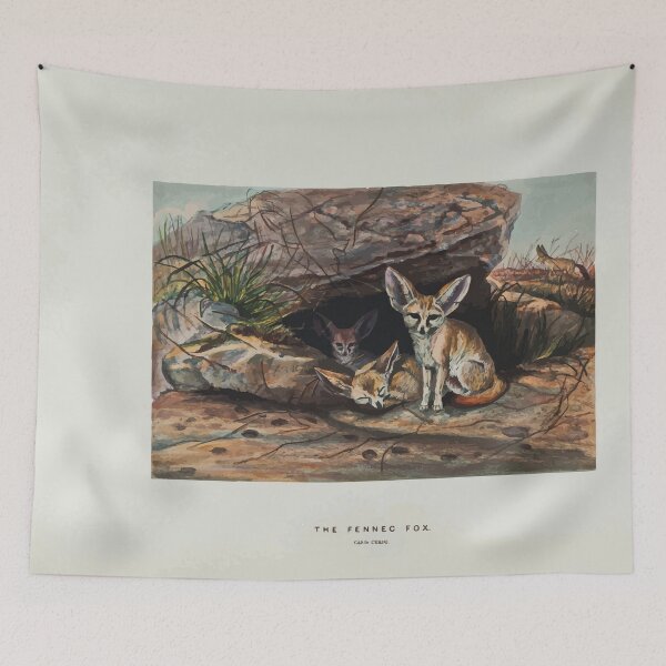 Item preview, Zoological sketches by Joseph Wolf 1861 to 1867 054 The Fennec Fox designed and sold by WetdryvacRB01.